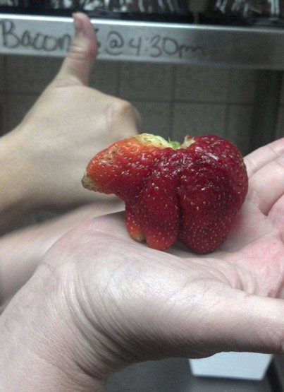 gambar buah strawberry yang unik