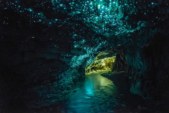 Gambar Pemandangan ALam Terindah di Dunia Glow Woem Cave New Zeland