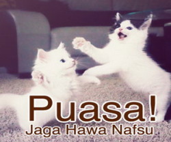 dp bbm lucu harus puasa