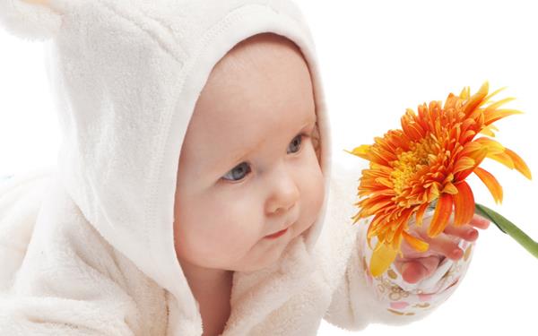 gambar bayi imut mirip boneka