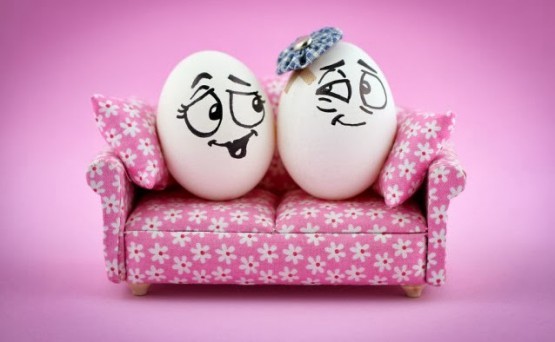 ekspresi telur gembira