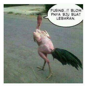 Gambar Kata-kata Gokil Untuk DP BBM 5