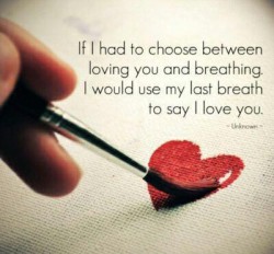 Foto-Kata-Kata-Cinta3