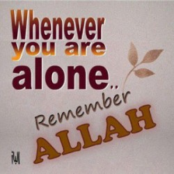 dp-bbm-islami-7-300x300-300x300