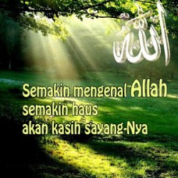 dp-bbm-islami1-300x300